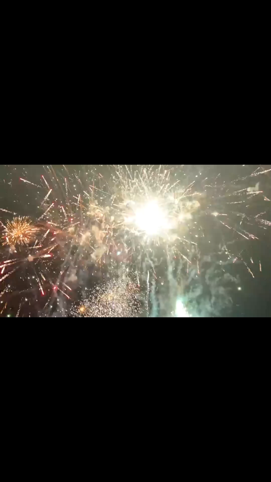 新年快乐！岁岁平安/