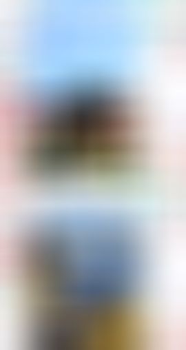 金麒麟好运连连🎵主播图片