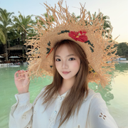 北家玉米🌽的头像