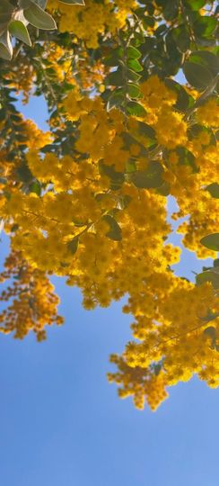 妞妞骑行古田县的图片