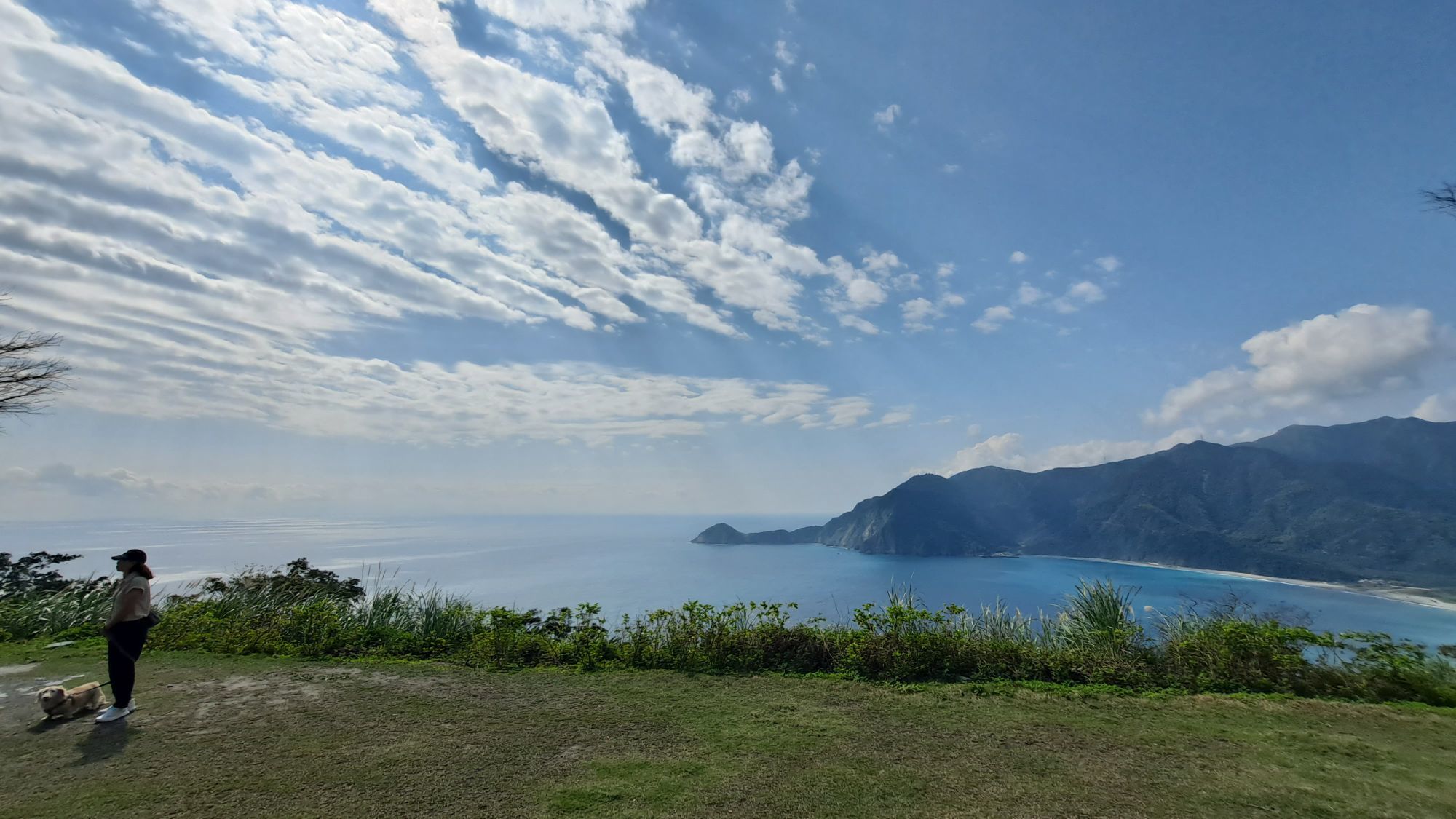 一只楚楚熊☆主播图片