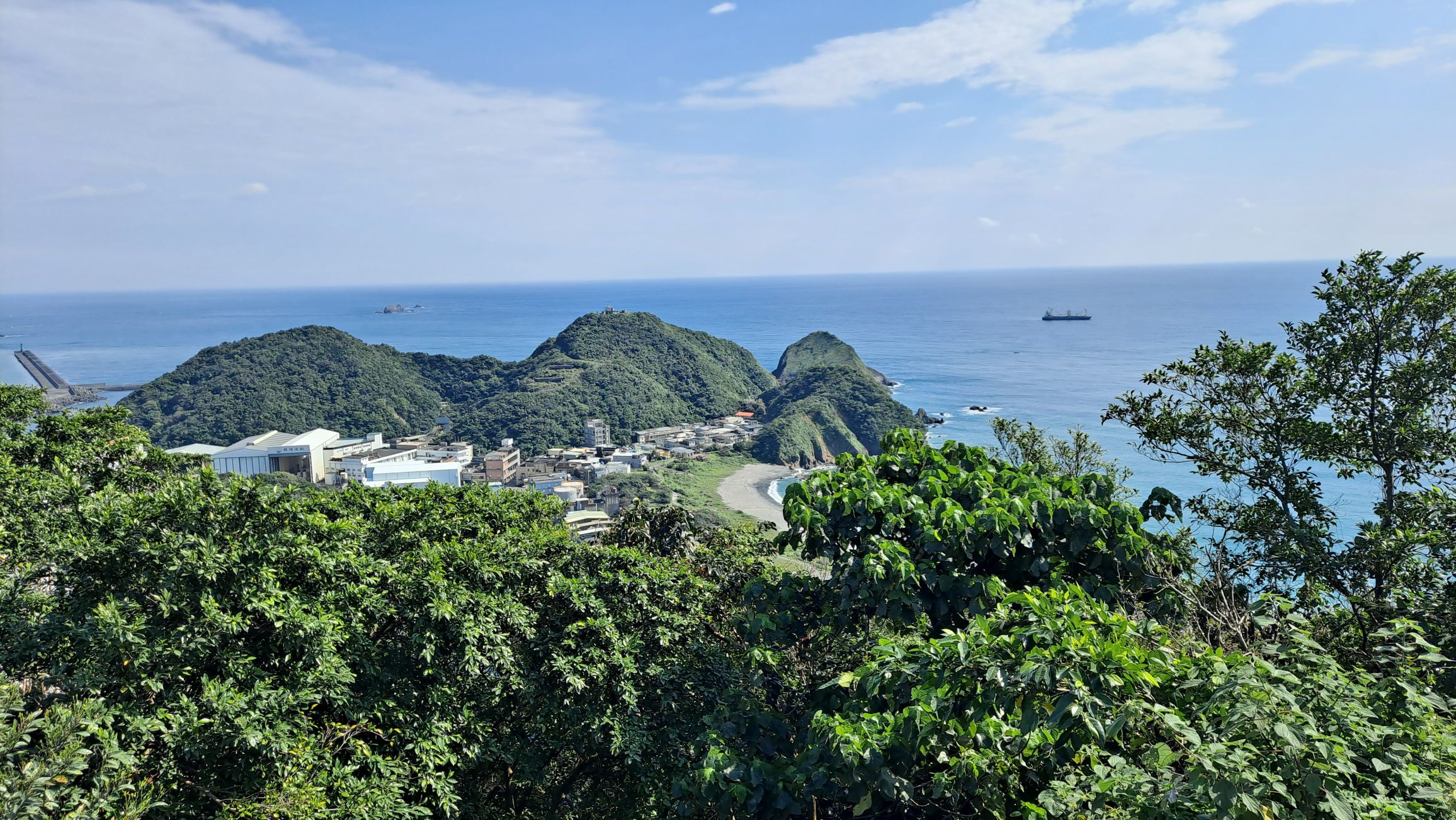 一只楚楚熊☆主播图片