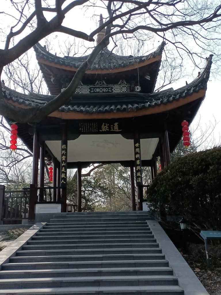 日【🔴】初主播图片