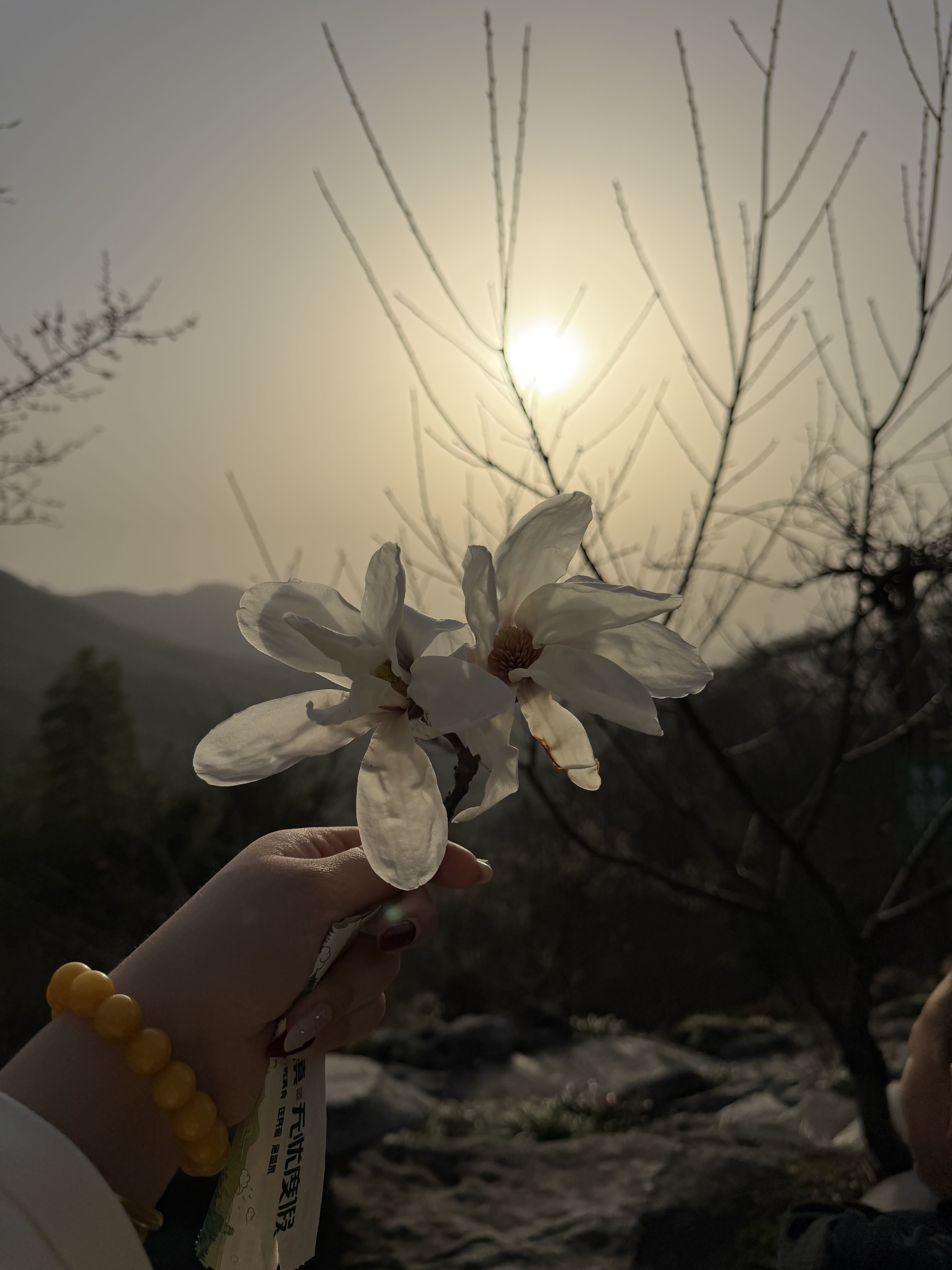 慕妍～🌈🌈🌈主播图片