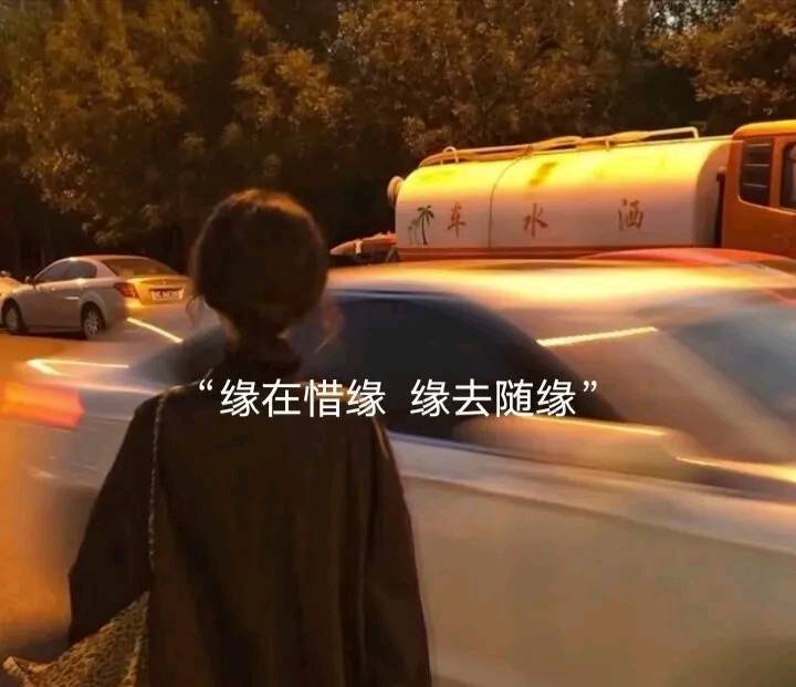 大元宝马年吉祥主播图片