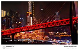 我是自由啊的图片