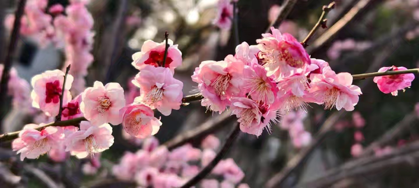 婷儿有事休的主播照片