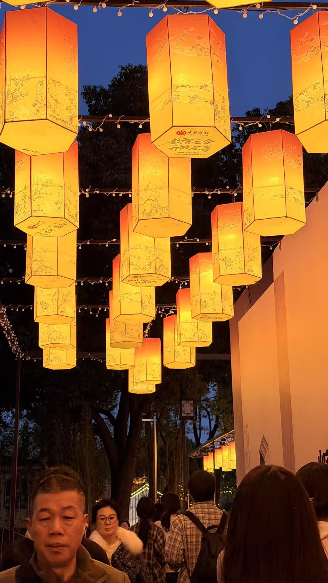 日【🔴】初主播图片