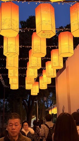 日【🔴】初的图片