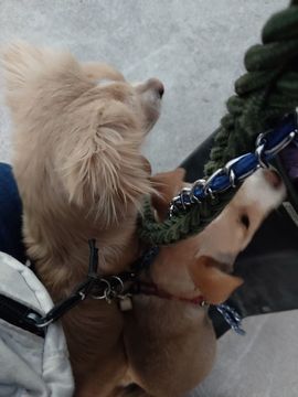 单身没人要没工作的图片