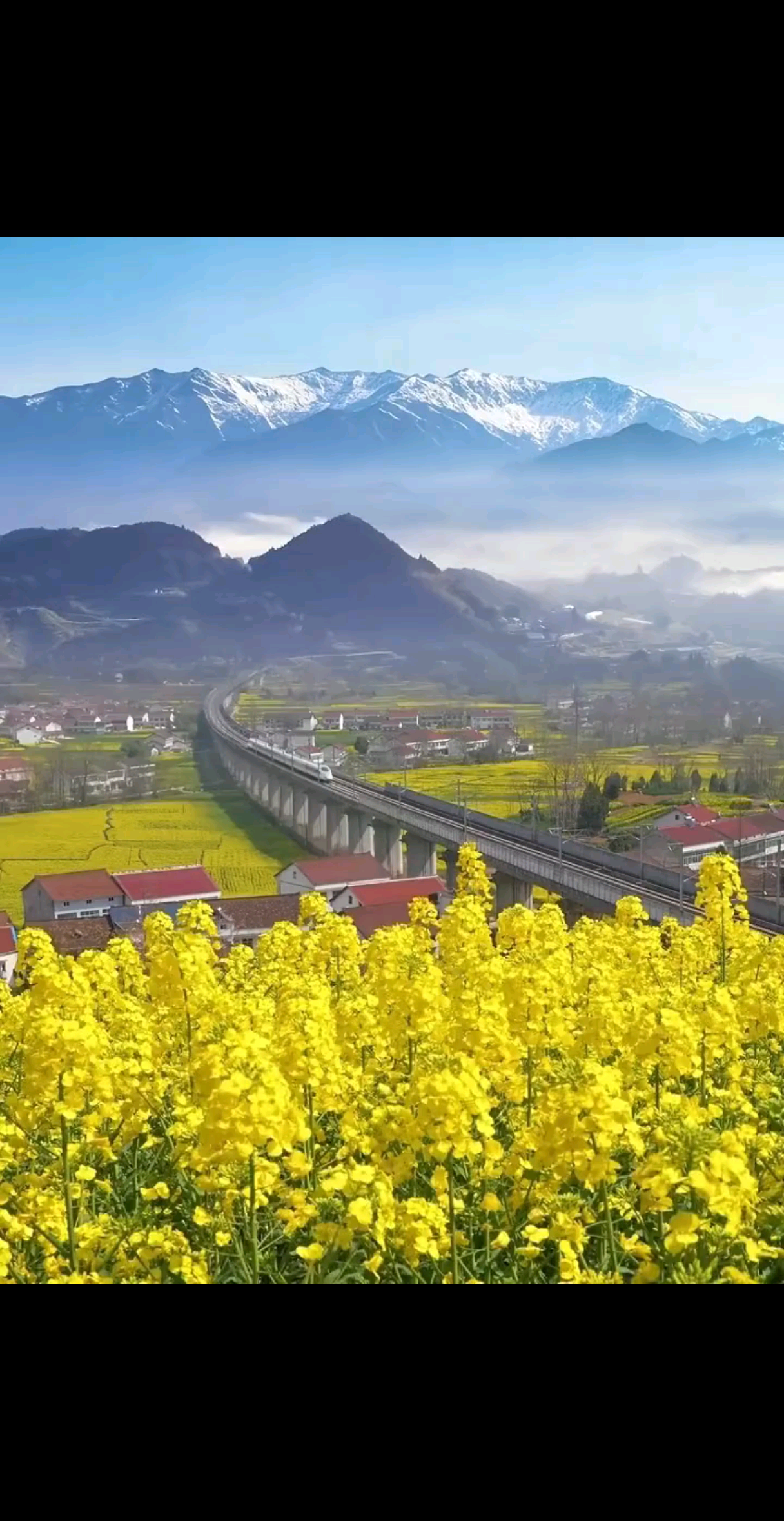 多靠近温暖 滋养你的