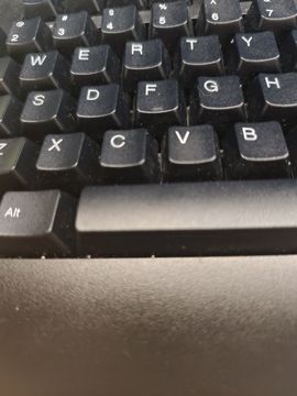 萌新宝宝ylIZUG的图片