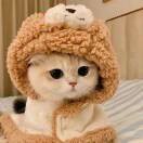 麻辣999感冒药的头像