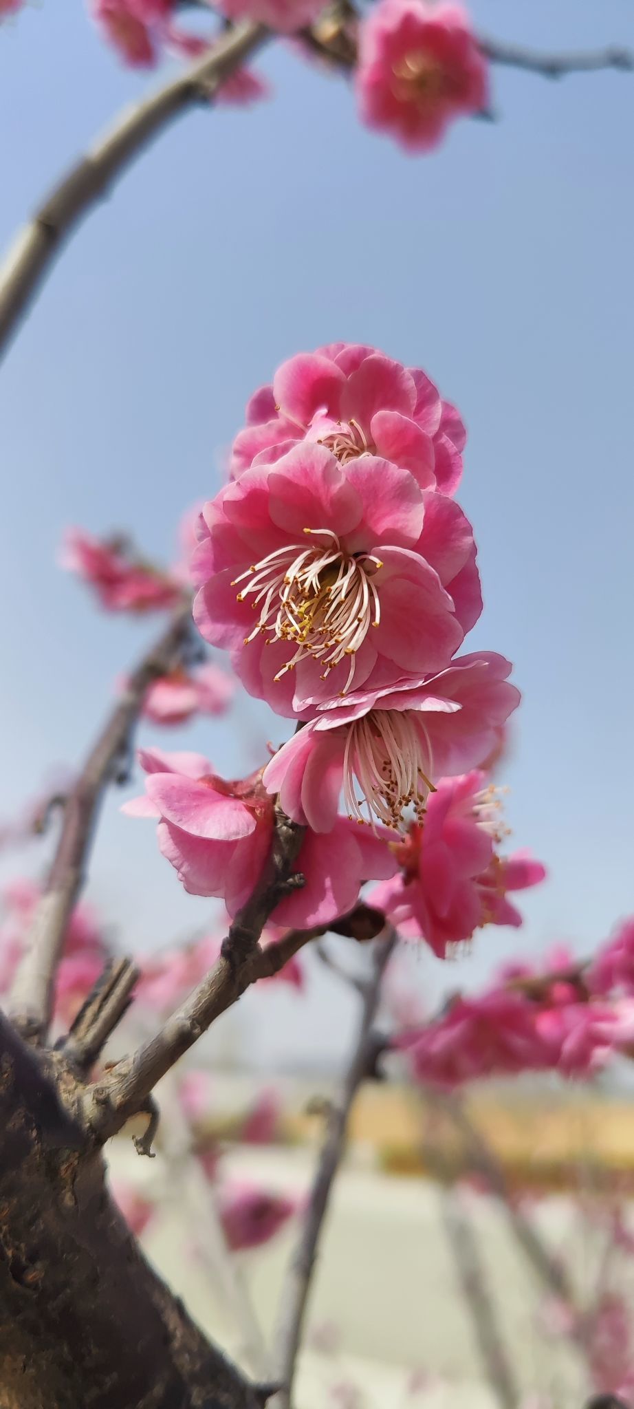 婷婷💕感恩有你陪伴主播图片