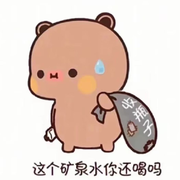 且行且看且随心