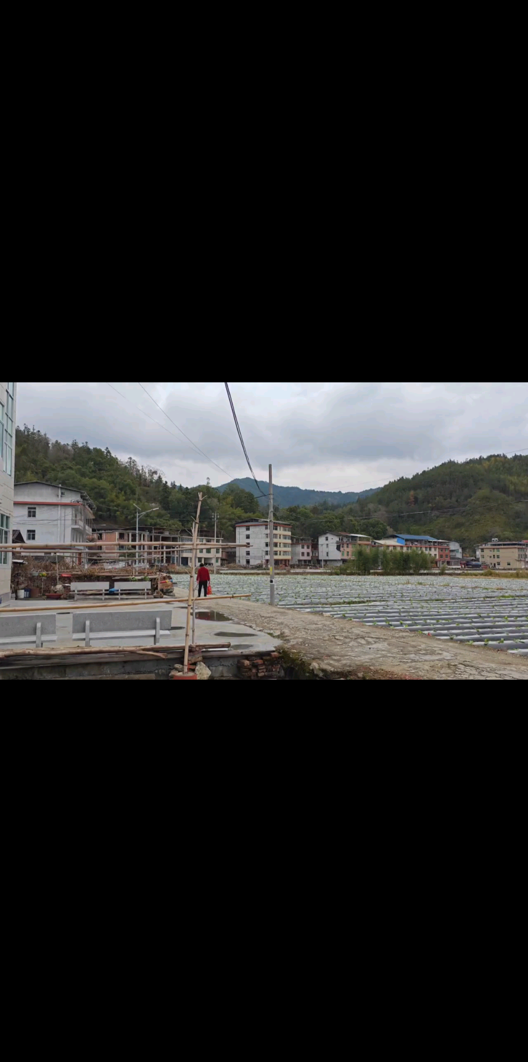 很多年没来到村头了，