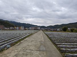 螺蛳粉超爱最美@叶子的图片