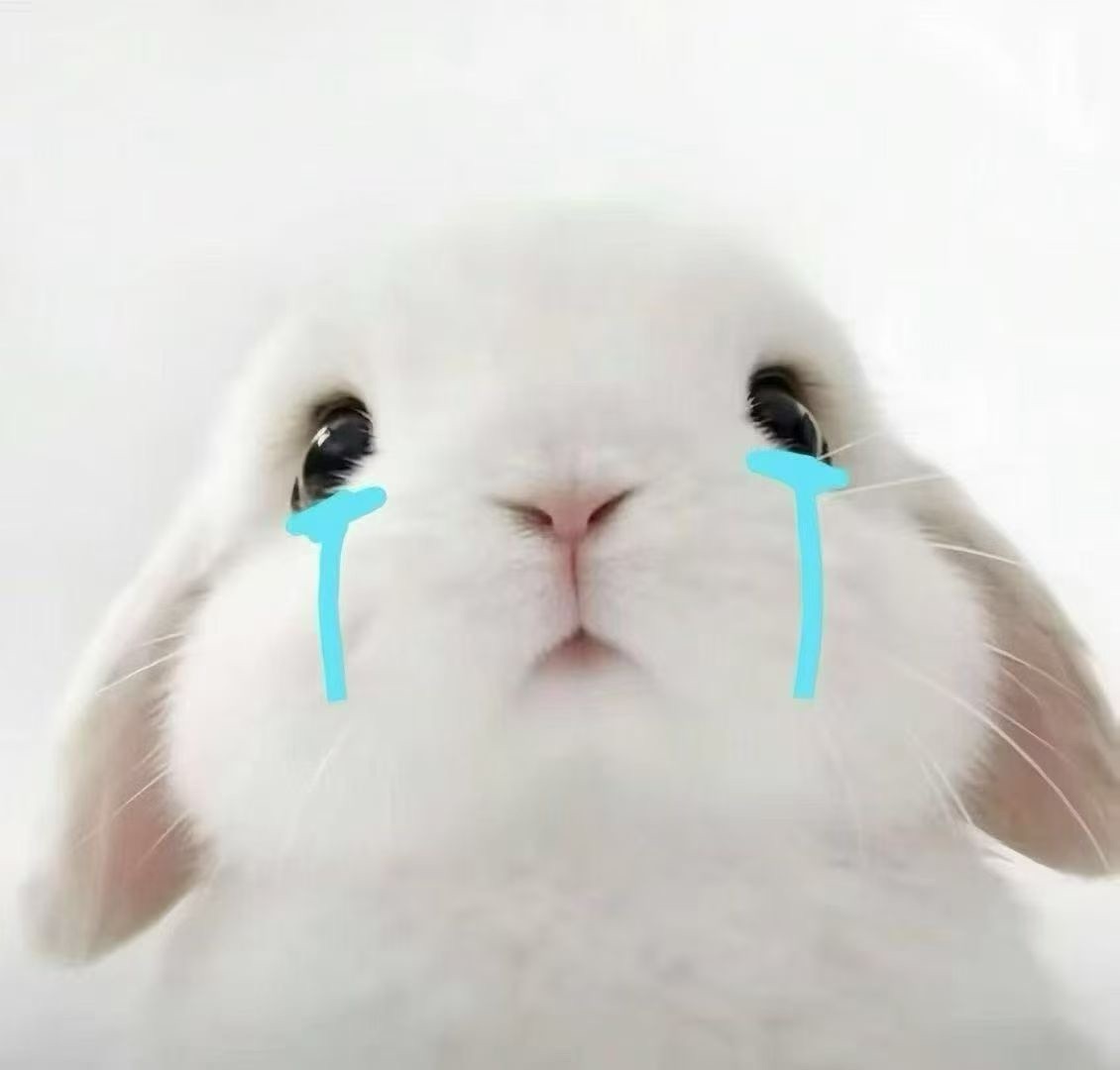 潔兒寶寶呀～主播圖片