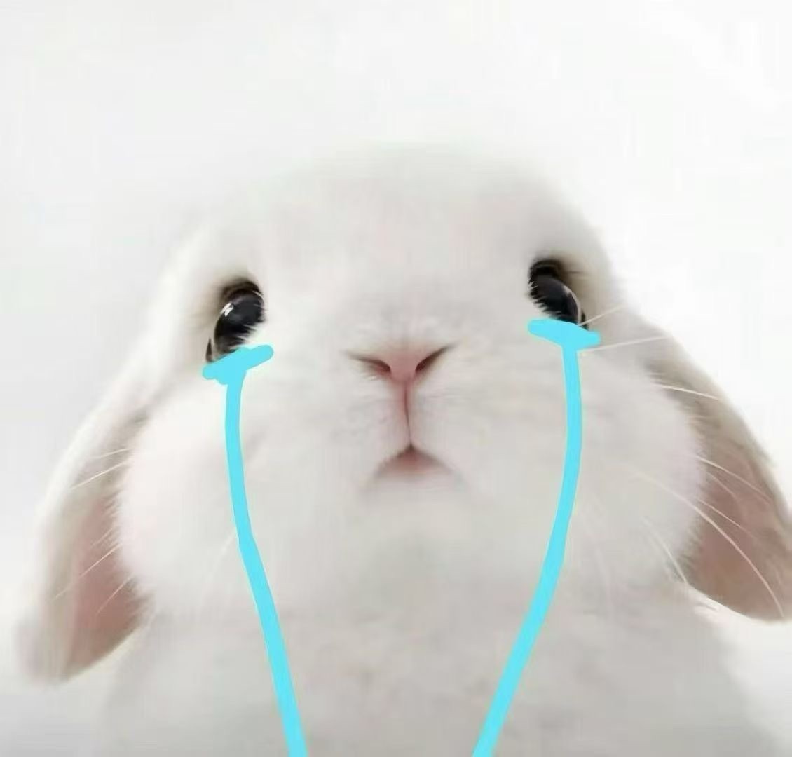 潔兒寶寶呀～主播圖片