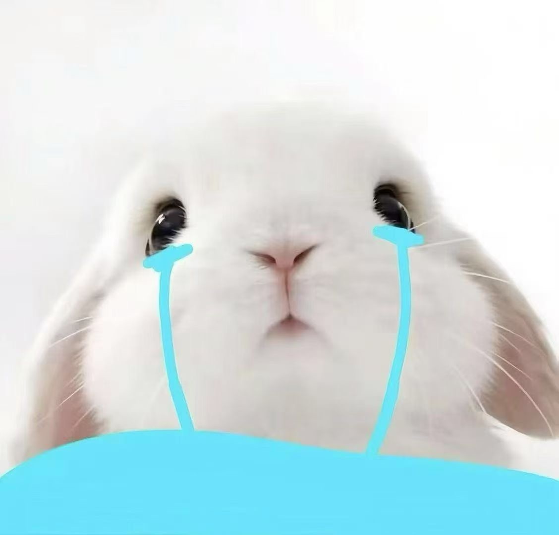 潔兒寶寶呀～主播圖片