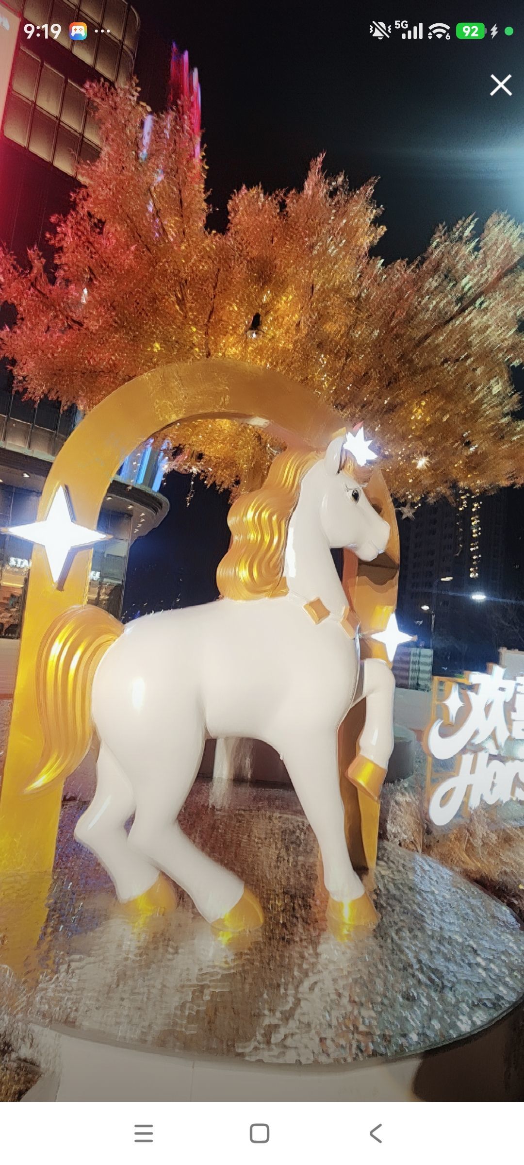 婷婷💕感恩有你陪伴主播图片