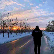 孤独是场盛宴的头像