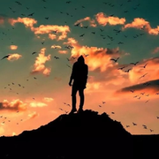 默不言..的头像