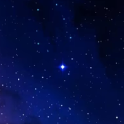 《星点》有事已退网