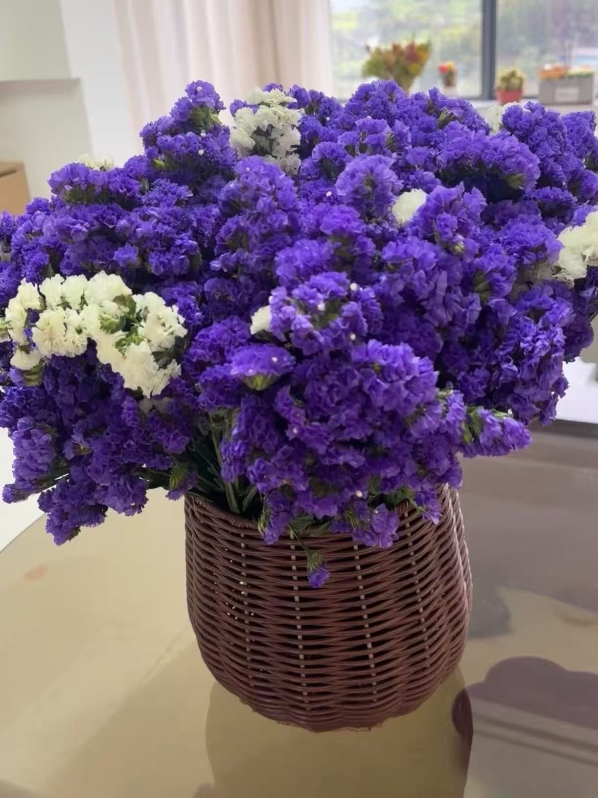 鸭鸭🐰的主播照片