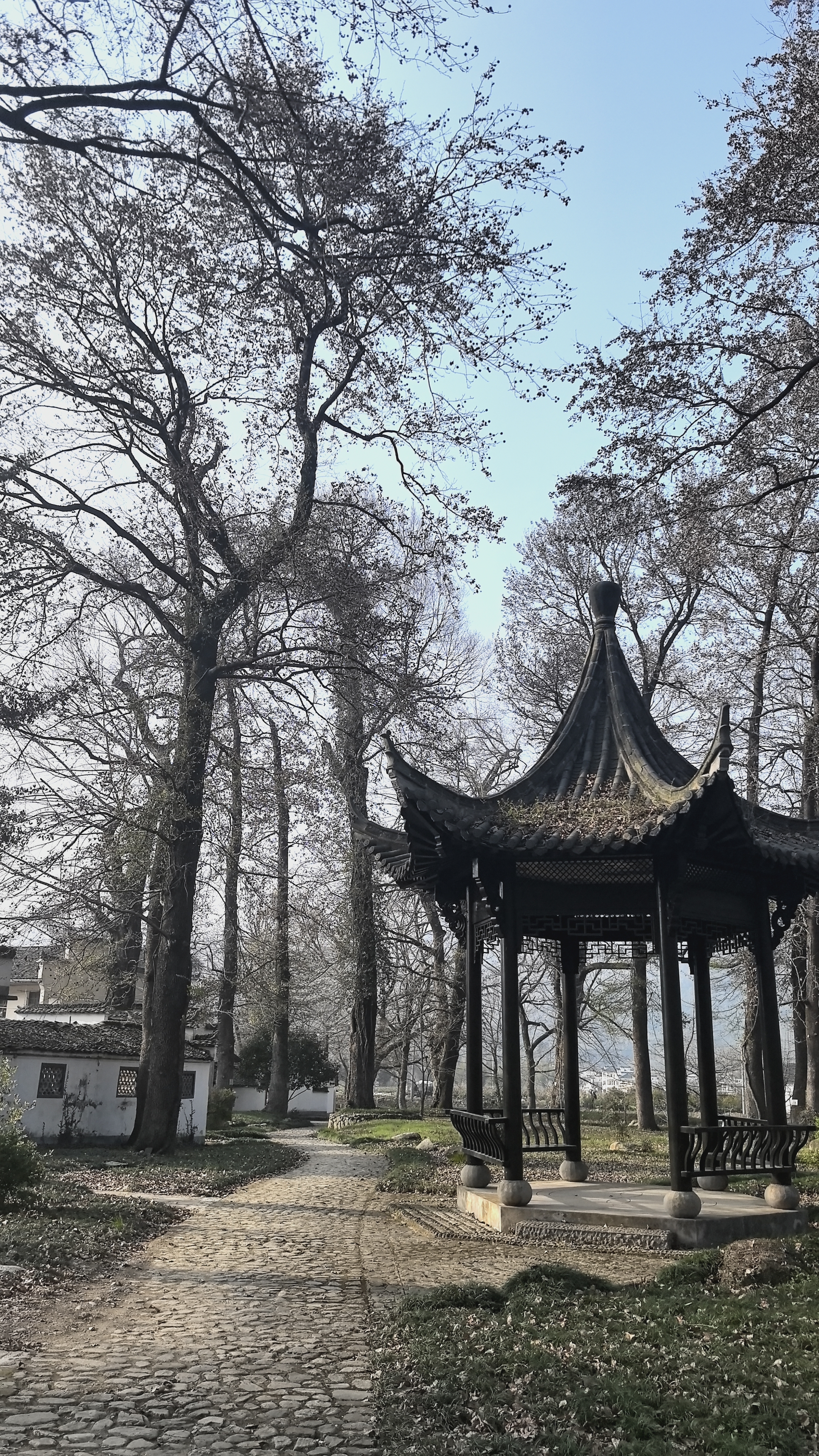 张张美人主播图片