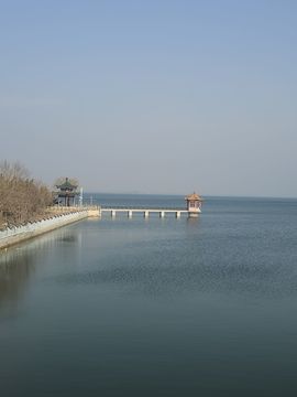 念念念念念念念念念的图片