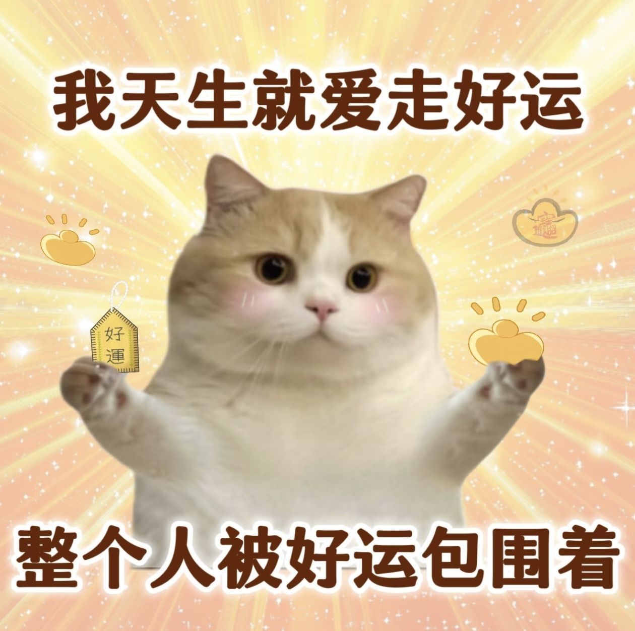 卡卡??主播圖片