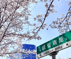 杨念念的图片