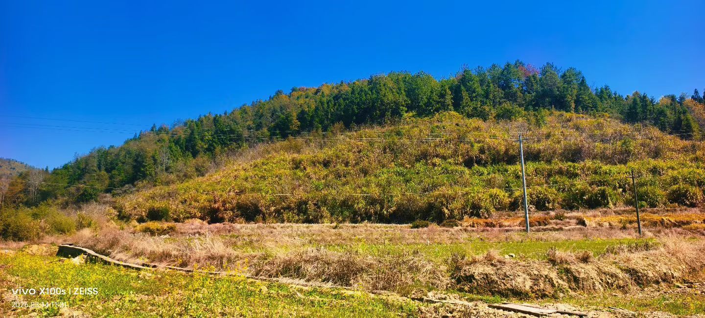 妞妞騎行興國縣主播圖片