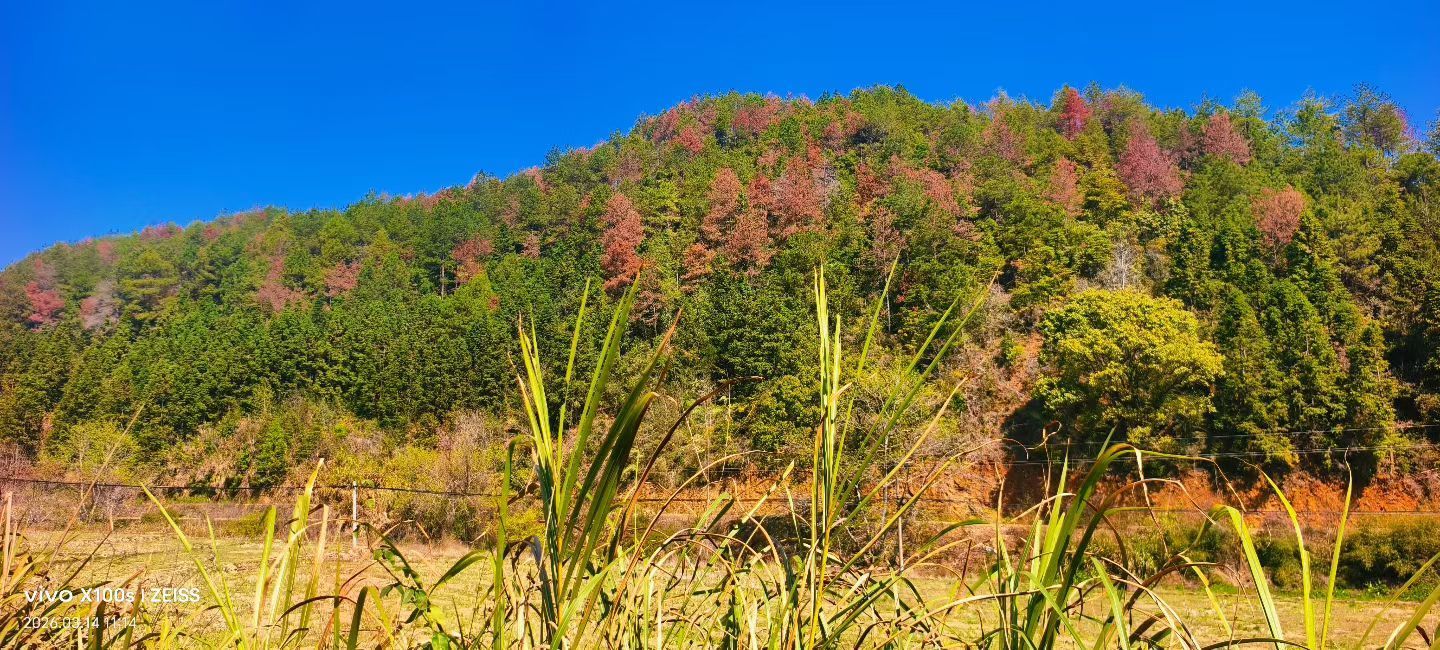 妞妞騎行興國縣主播圖片