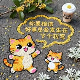 退了退了。。。主播照片