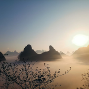 小默默🌈台球小王子的用户头像