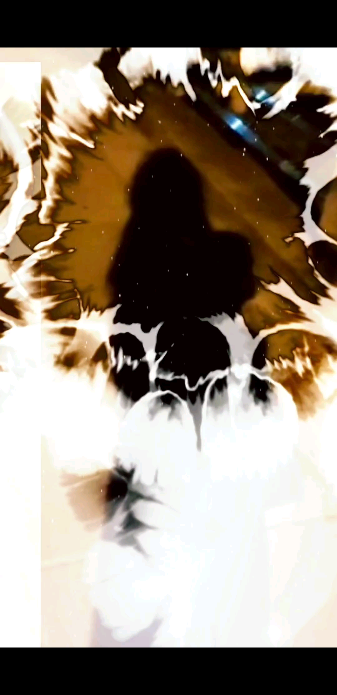 苦尽甘来才算人生