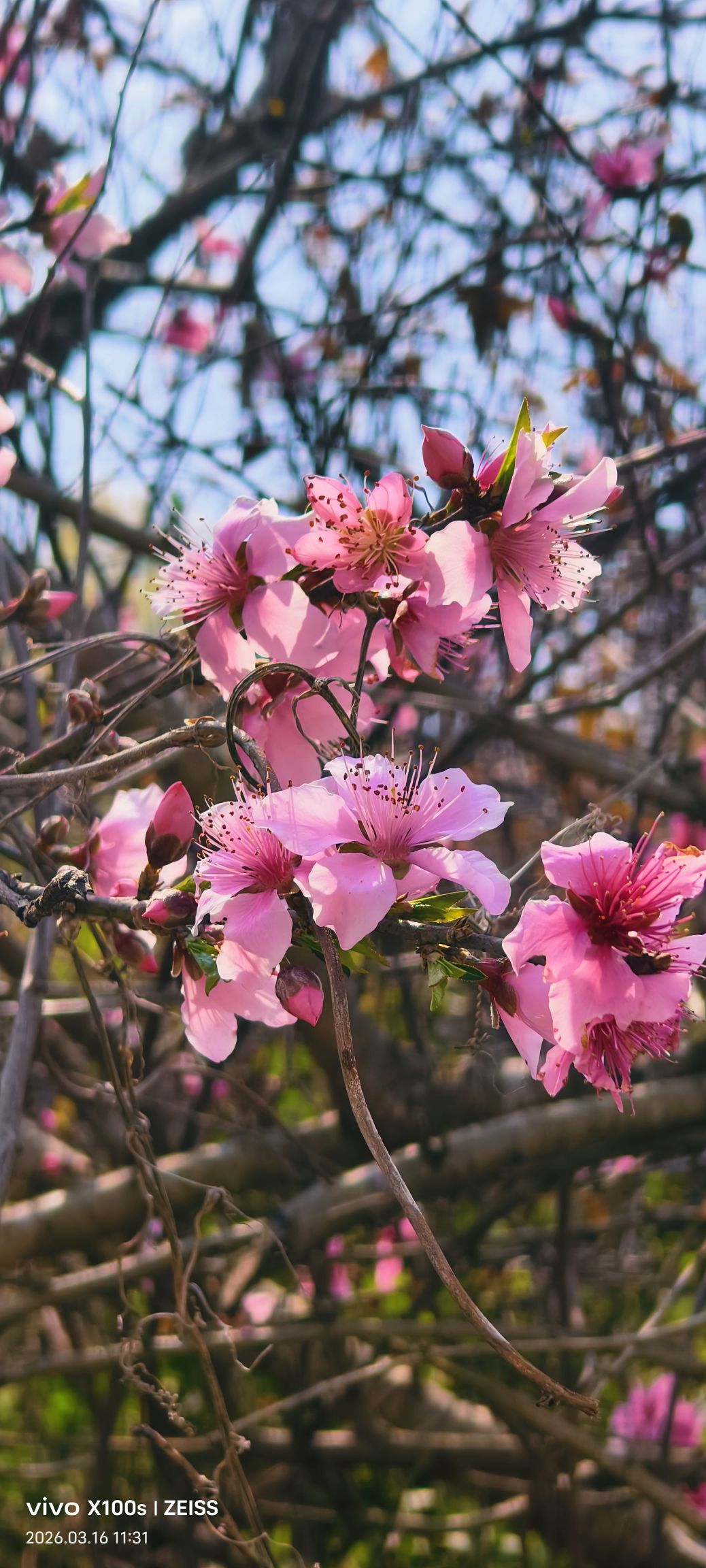妞妞騎行興國縣主播圖片