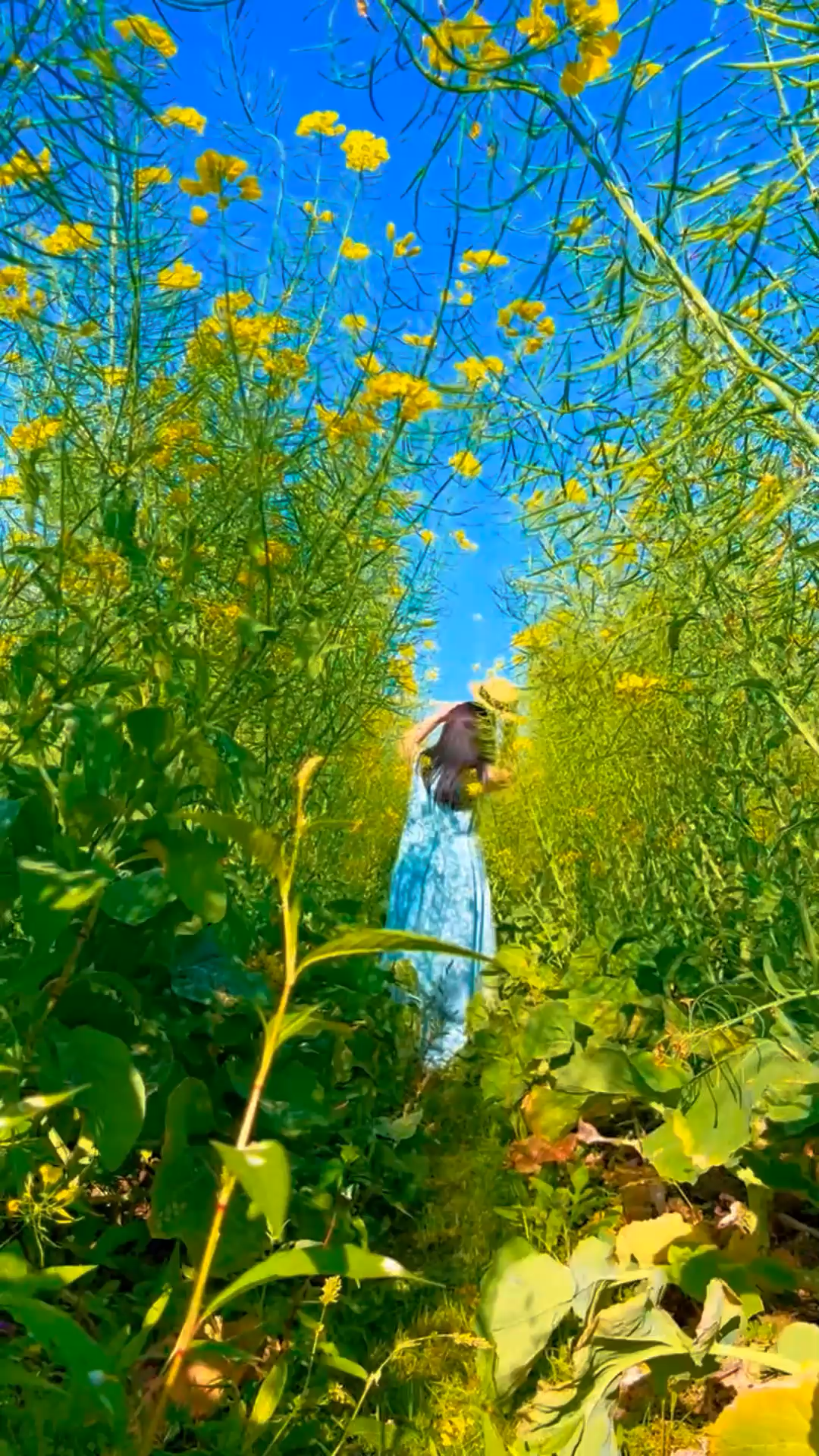 别辜负了这春色