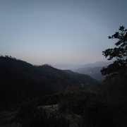 轻歌离弦更进酒