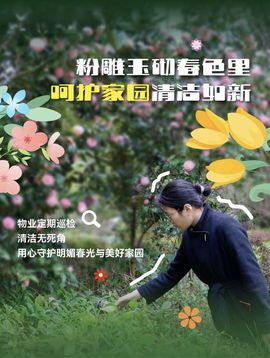 远方的过客🫧的图片