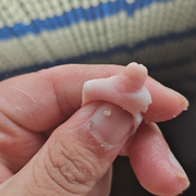 迷?！滞码S風(fēng)的頭像