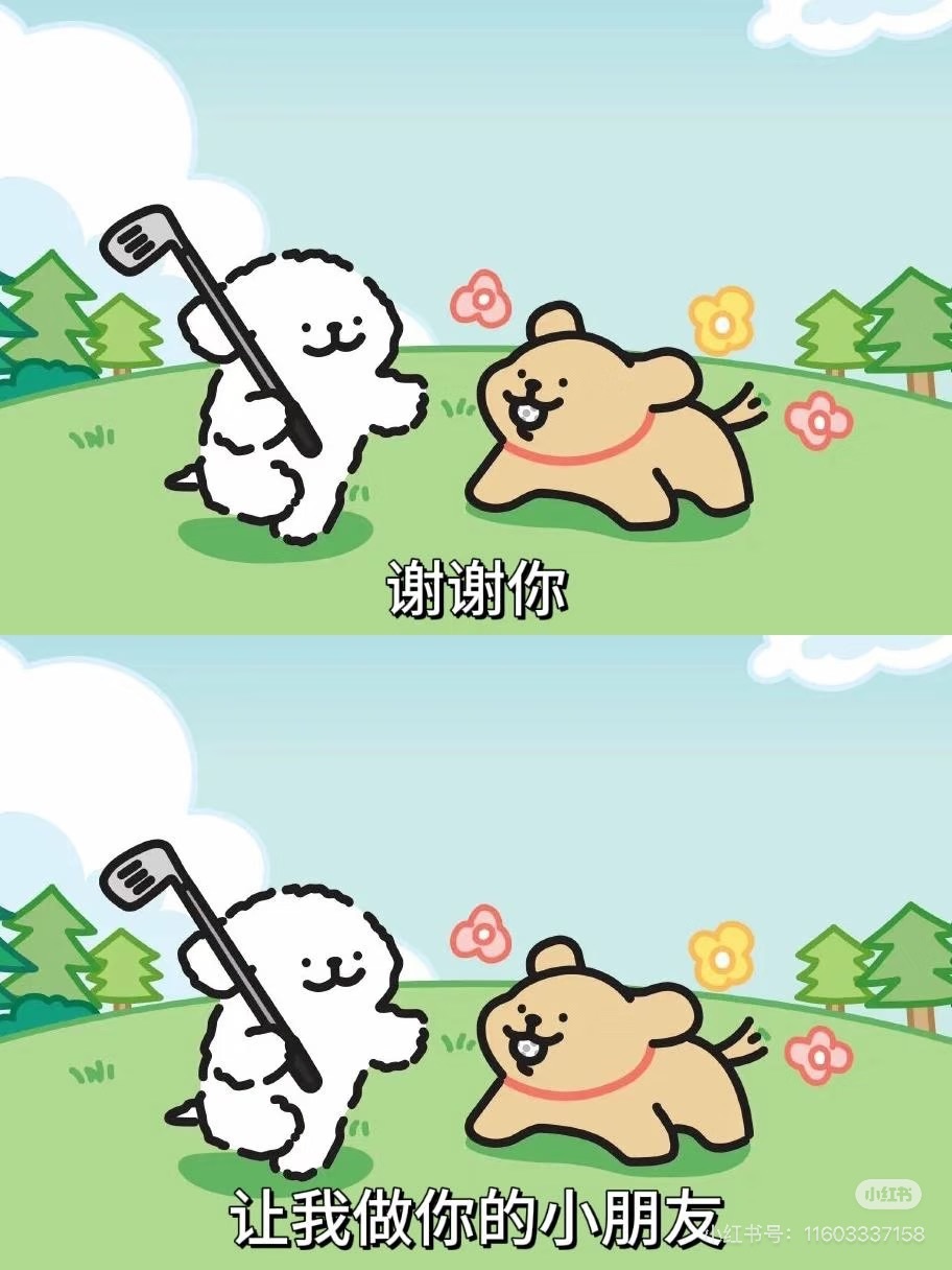 言和老板双升了主播图片