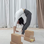 挂机看你下腰表演的头像