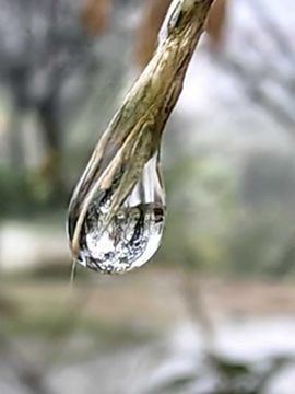 天王盖地虎虎044主播照片