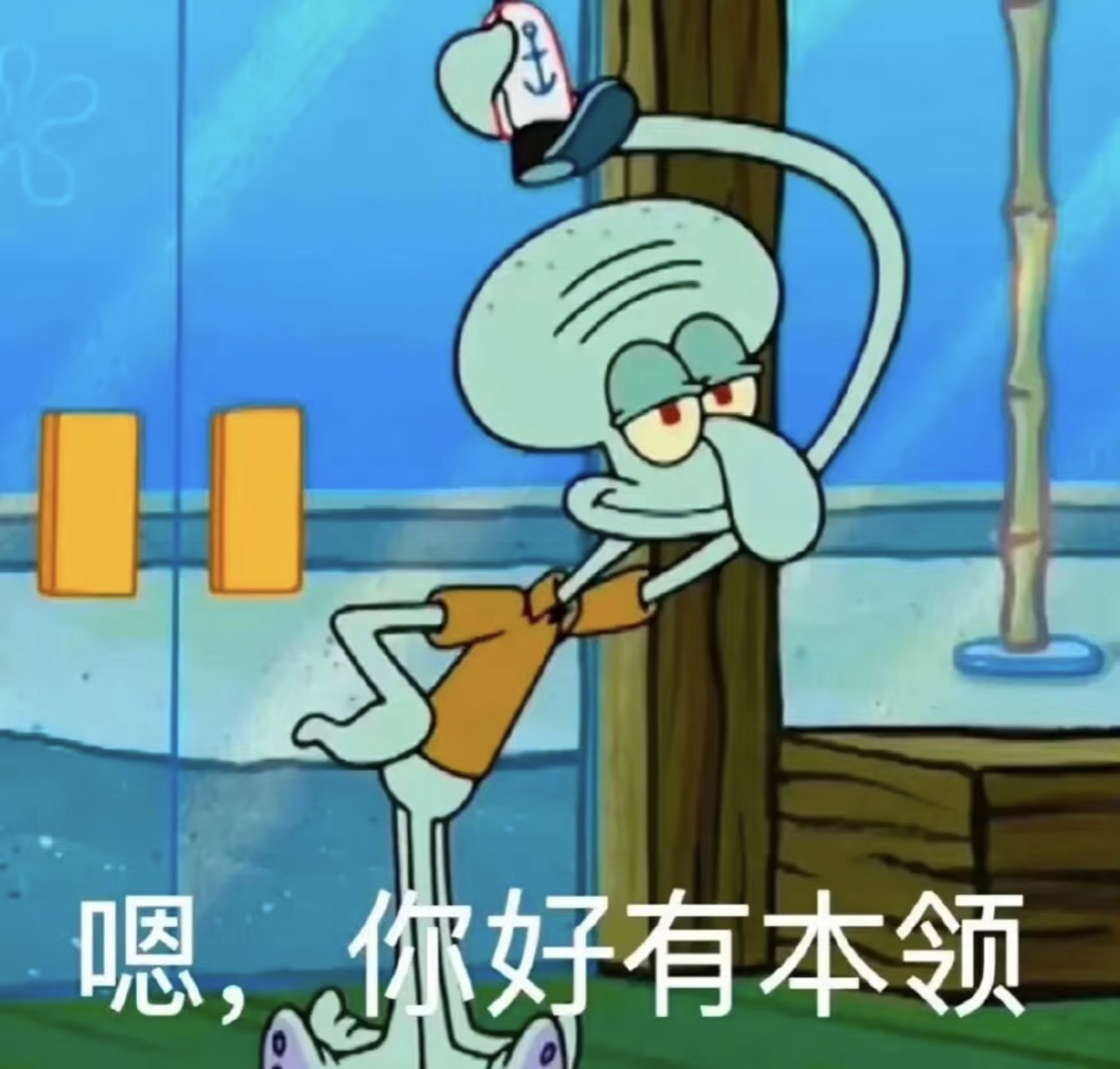 虞🌙主播图片