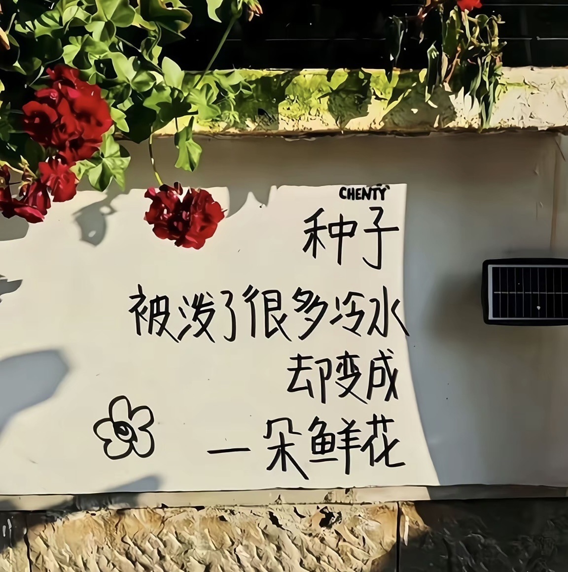 梓洛～醫(yī)院陪護(hù)隨緣播主播圖片