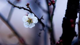 天王盖地虎虎044主播照片