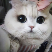 王富贵cdd